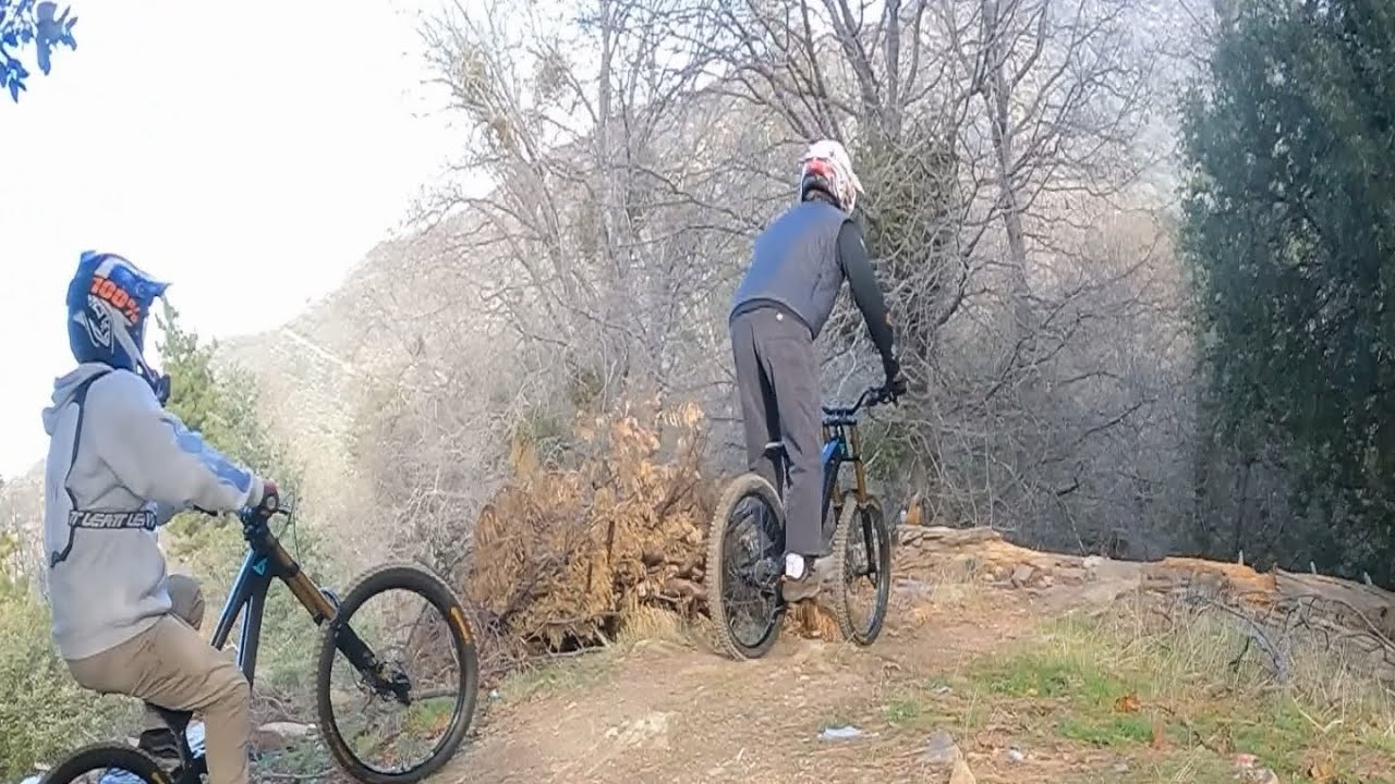 Crestline Shuttles: 2026.01.11