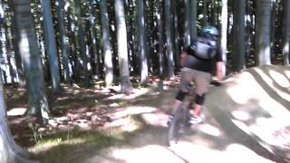 WP 20130722 031