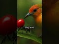 This Parasite Turns Ants Into Berries So Birds Eat Them 😳🧠