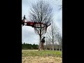 satisfying job