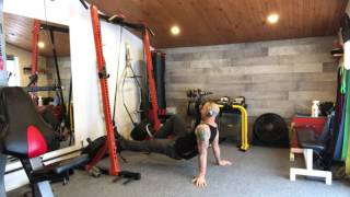 TRX   Reverse Mountain Climber
