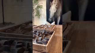 Celebrity H.o.m.e Profile