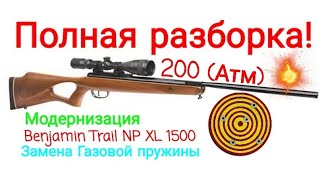 Benjamin Trail NP XL 1500 РАЗБОРКА, ТЮНИНГ, МОДЕРНИЗАЦИЯ.