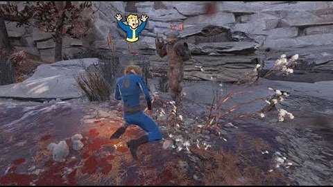Fallout 76 Low Level PVP : Encounter With Thesoullessging3r