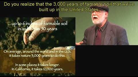 interchange 3  unit 7  video 14