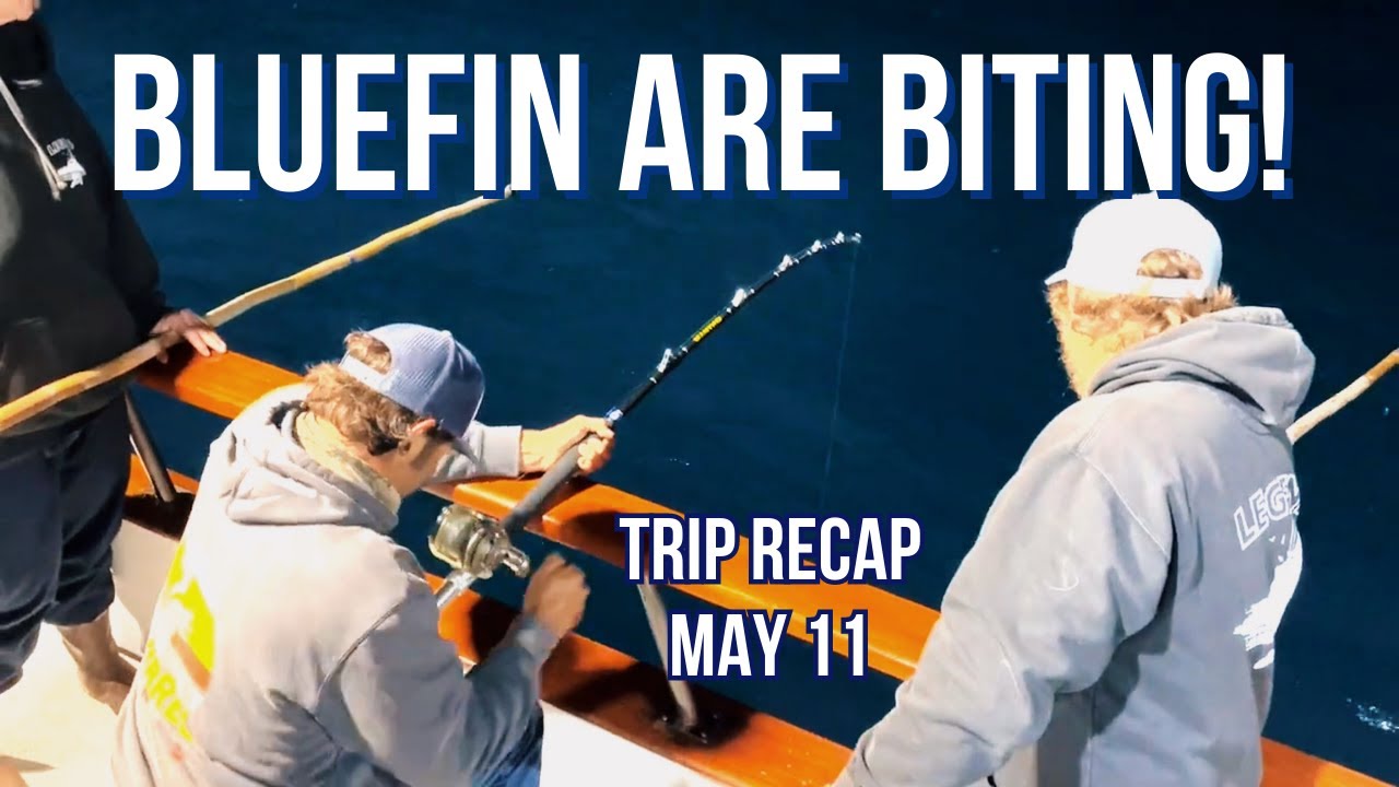 Bluefin Tuna Fishing Recap - May 11th