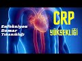 CRP Yüksekliği, Enfeksiyon, Damar Tıkanıklığı, Sağlık, Prof.Dr.Serdar Akgün, Tıp Videoları