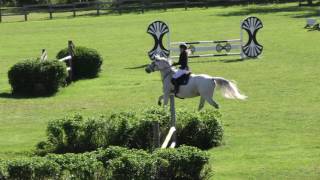 Kauppinen Mette Robinetta 80Cm Ypäjä Kisaviikko 15.-18.6.2017