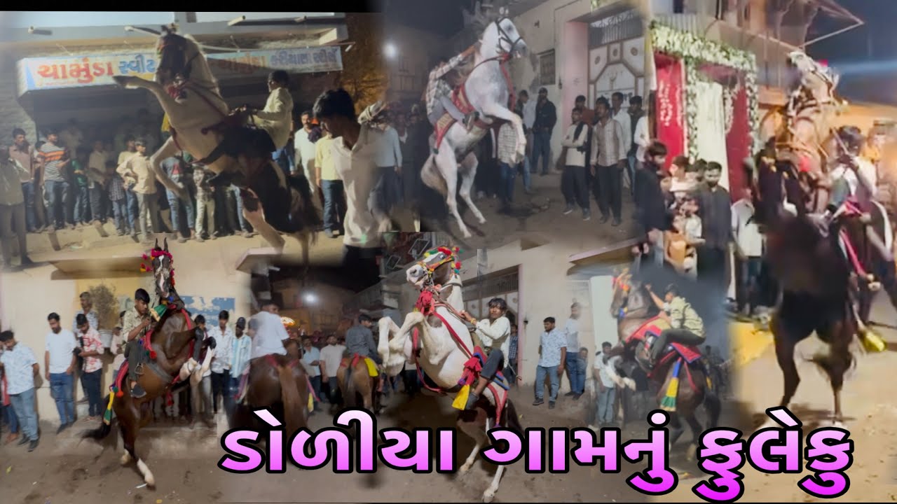 ડોલિયા ગામનું ફુલેકુ 