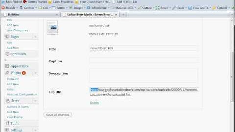 Adding Media, Using Wordpress - Parish Web Assistant