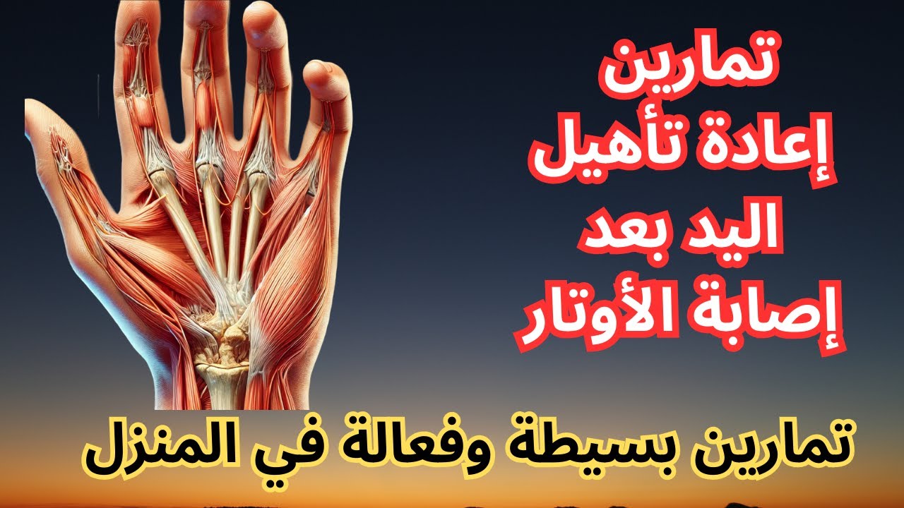 تمارين بعد عملية قطع اوتار اليد | هترجع  للشغل . تأهيل بعد عمليه قطع في اوتار اليد