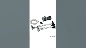 زمور ايطالي 24V 