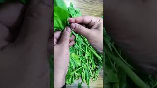 palak ke patte #palak #spinach #patte #food #tips #cutting #vegetables #cuttingskills #vegan #shorts