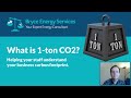 What is 1 Ton of Carbon Dioxide and how does it relate to everyday activities?