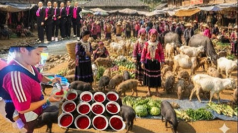 Cốc Ly Phiên Chợ Vật Nuôi Lớn Nhất Tây Bắc | Dê – Trâu – Lợn & và nhiều Nông Sản Hiếm gặp!