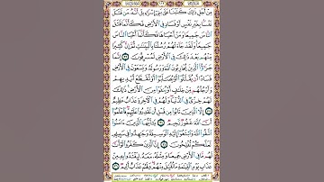 113 الصفحة مائة وثلاثة عشر سورة المائدة.