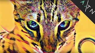 6 BEST Photo Editing Apps for Android YOU HAVE TO TRY screenshot 1