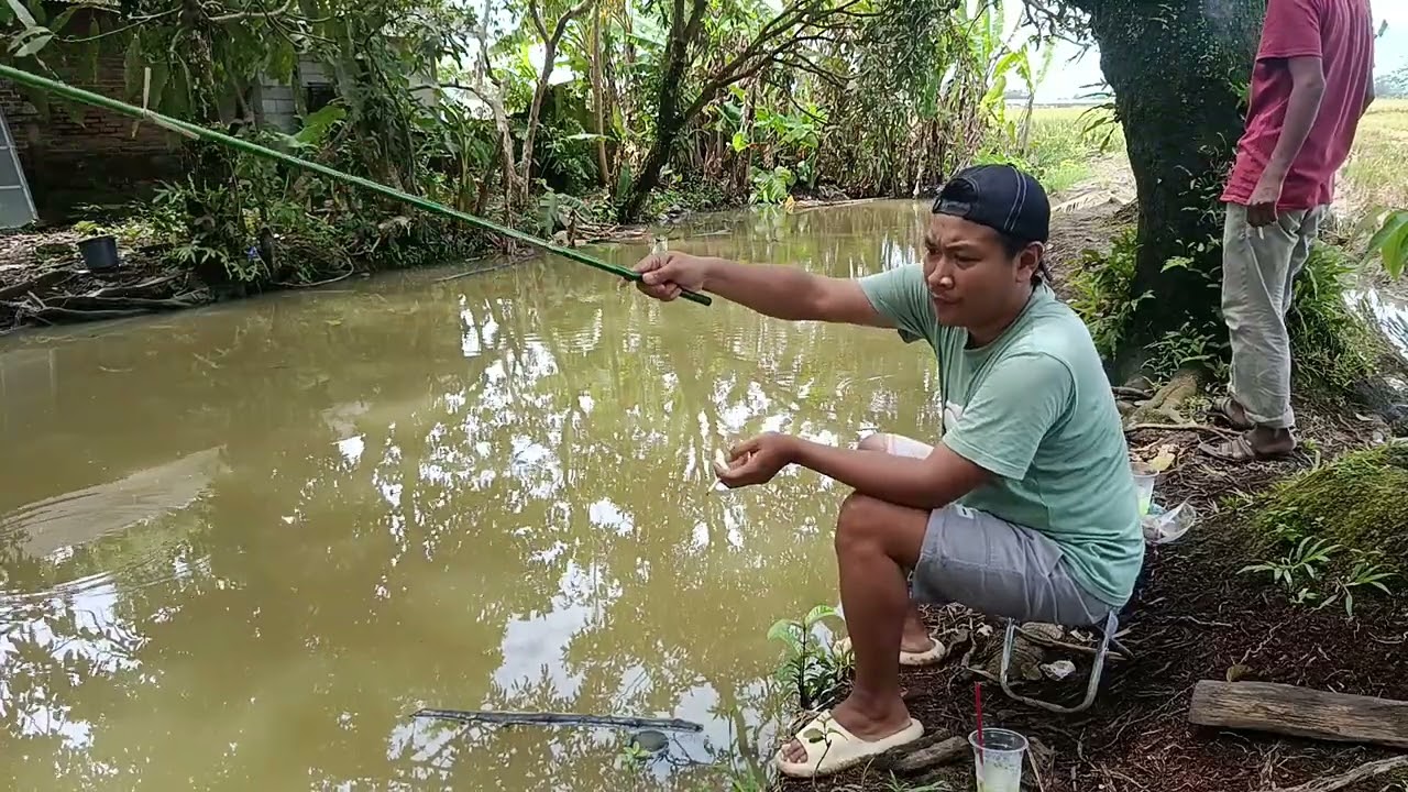 Raja nambrut pernah mancing disini