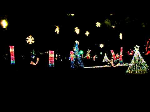 Wideo: Światła w Lincoln Park Zoo: Boże Narodzenie w Chicago