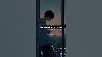 ﴿۞نَبِّئۡ عِبَادِيٓ أَنِّيٓ أَنَا ٱلۡغَفُورُ ٱلرَّحِيمُ ﴾ تلاوة بصوت ندي 💙🌿 القارئ هزاع البلوشي ❤🎧