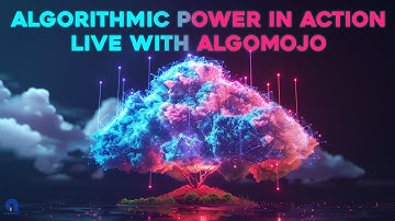 Algorithmic Power in Action Live with Algomojo