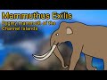 Mammuthus Exilis. The pygmy mammoth of the Channel Islands.