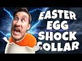 Easter Egg Hunt with a SHOCK COLLAR!!