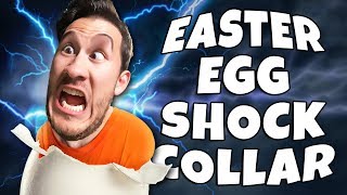 Easter Egg Hunt with a SHOCK COLLAR!!