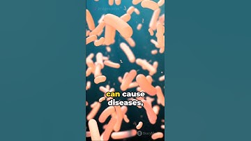 "Misconception Myths: Unveiling Science