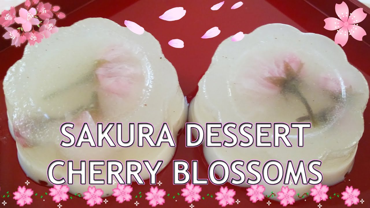 SAKURA JELLY DESSERT japanese dessert with cherry blossoms low calorie