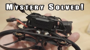 Pavo Pico Jello Mystery SOLVED! 🤯