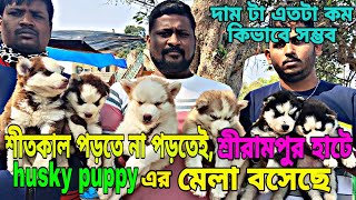 Sunday serampore pet market | cheap price husky dog puppy | কম দামে বিদেশি কুকুরছানা পেট মার্কেটে এ by pom Tv Love dog & (vlog) 284 views 4 months ago 4 minutes, 5 seconds