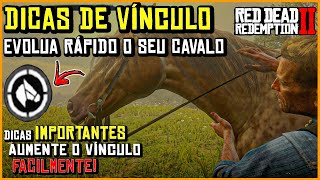 DICAS DE VÍNCULO - Melhores cavalos - Red Dead Redemption 2