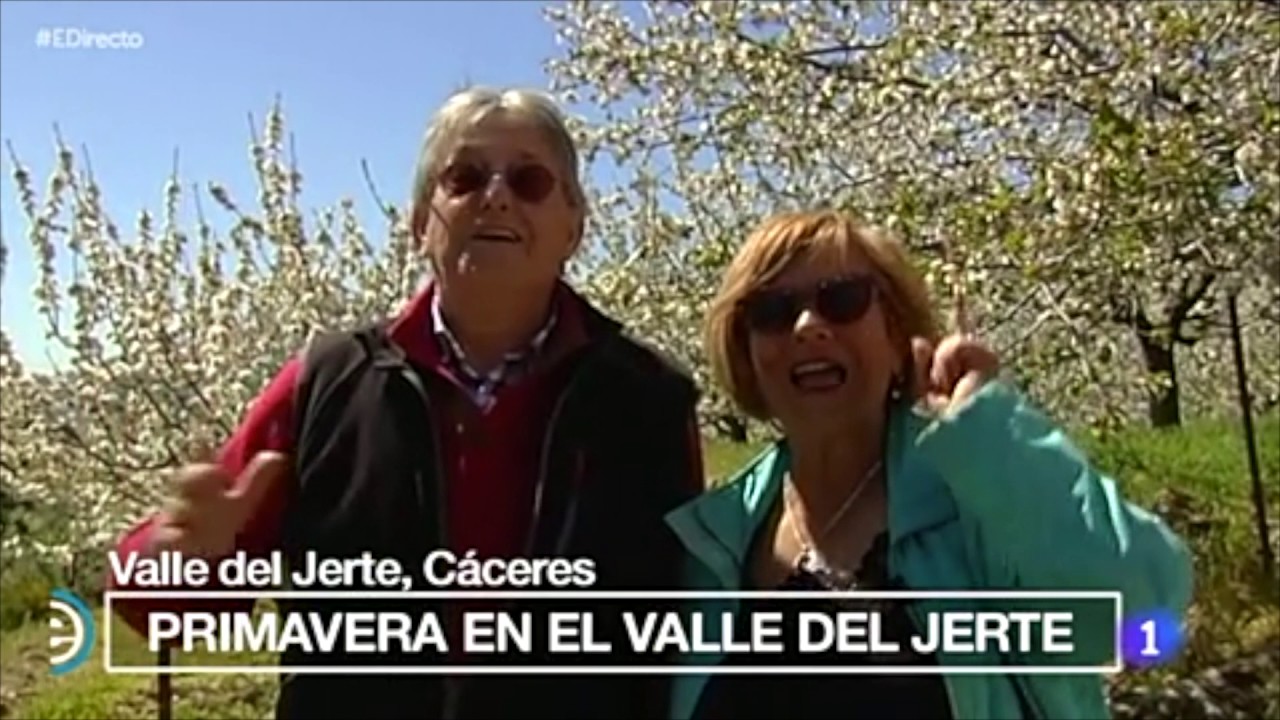 Valle del Jerte, cuando los cerezos están en flor