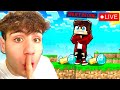 ALLA RICERCA di HACKER e TRUFFATORI nel MIO NUOVO SERVER MINECRAFT!