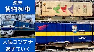 【無動力回送2シーンあり】8月の貨物列車撮影を素敵なジョイント音で締める EF210 EF510がゆくJR貨物 福山レールエクスプレス、カンガルーライナーほか 20250830～20250831