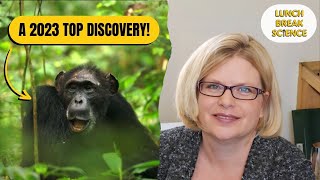 Chimpanzee Menopause Revealed ft. Melissa Emery Thompson