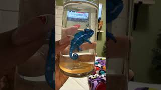 KTB ASMR…. something different.🫠 