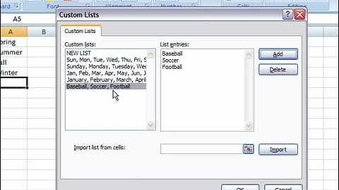 Create Custom Lists in Excel 2007