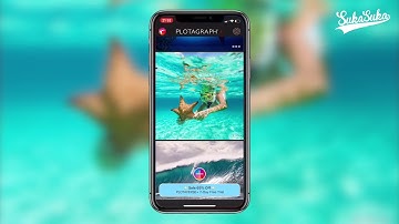 How to Create Animated Photos With Plotaverse