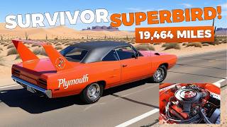 Survivor Superbird! Unrestored Wing Car Comes Out Of Storage!