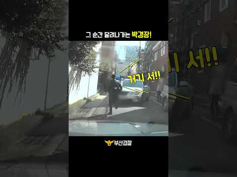 “그러게 그냥 서라니까..” 대낮의 추격전🏃🏻 #shorts