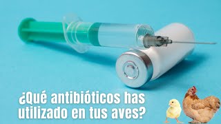 Cuidado De Utilizar Enrofloxacino En Tus Aves
