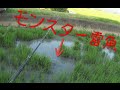 モンスター雷魚までの道のりseason2 一発で喰わす!!編