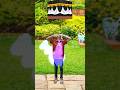 wait for end 😱 | Mango | Orange | lion | #shorts #comedy #trending