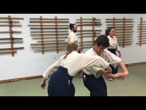 Aikido: Training for Skill