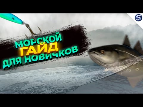 НОРВЕЖСКОЕ МОРЕ || ГАЙД ДЛЯ НОВИЧКОВ || Русская Рыбалка 4
