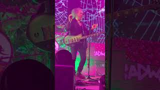 THE CURE-LULLABY-FIRENZE(Italia)-2022 #short #shorts #shortsvideo #shortsfeed #shortsvideo #shots