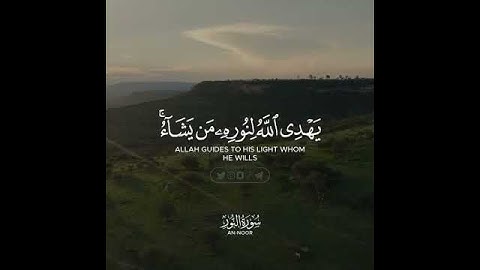نُّورٌ عَلَىٰ نُورٖۚ يَهۡدِي ٱللَّهُ لِنُورِهِۦ مَن يَشَآءُۚ || القارئ شريف مصطفى