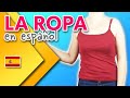 Clothes in Spanish - Garment and accessories vocabulary (La ropa en español)